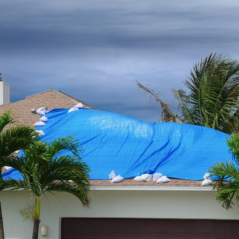 Customer Photo Gallery Creative Shelters Backyard Shade Outdoor Shade Shade Tent