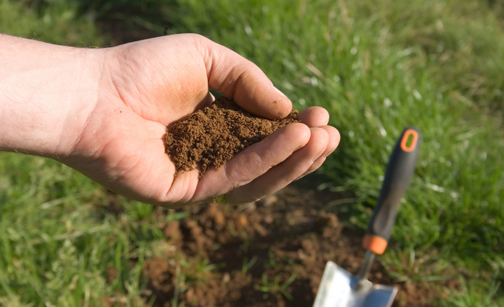 A person holding soil in their hand.