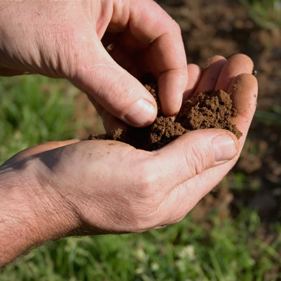 A person holding garden soil in their hand. A person holding garden soil in their hand.