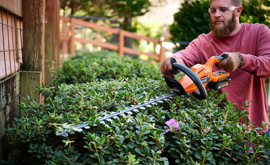A person trimming hedges.