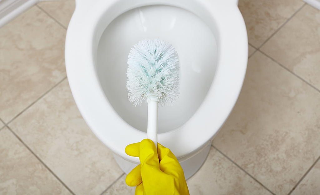 Une personne portant des gants en caoutchouc tenant une brosse de toilette au-dessus d'une cuvette de toilette.