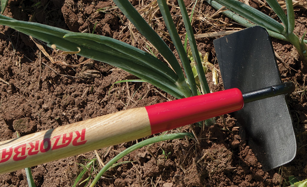 How to Use a Garden Hoe The Home Depot