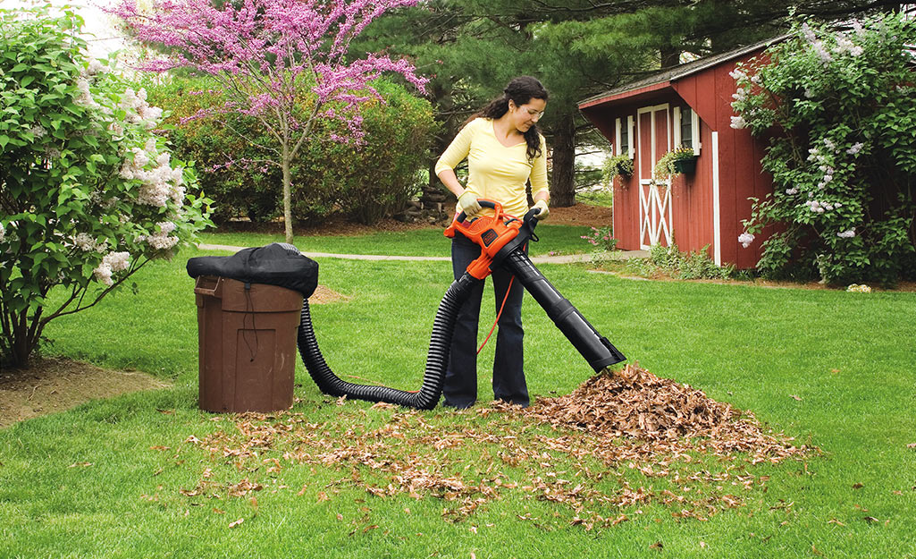 Woman sucking up leaves with a blower and a vacuum attachment on the blower into a trash can. 