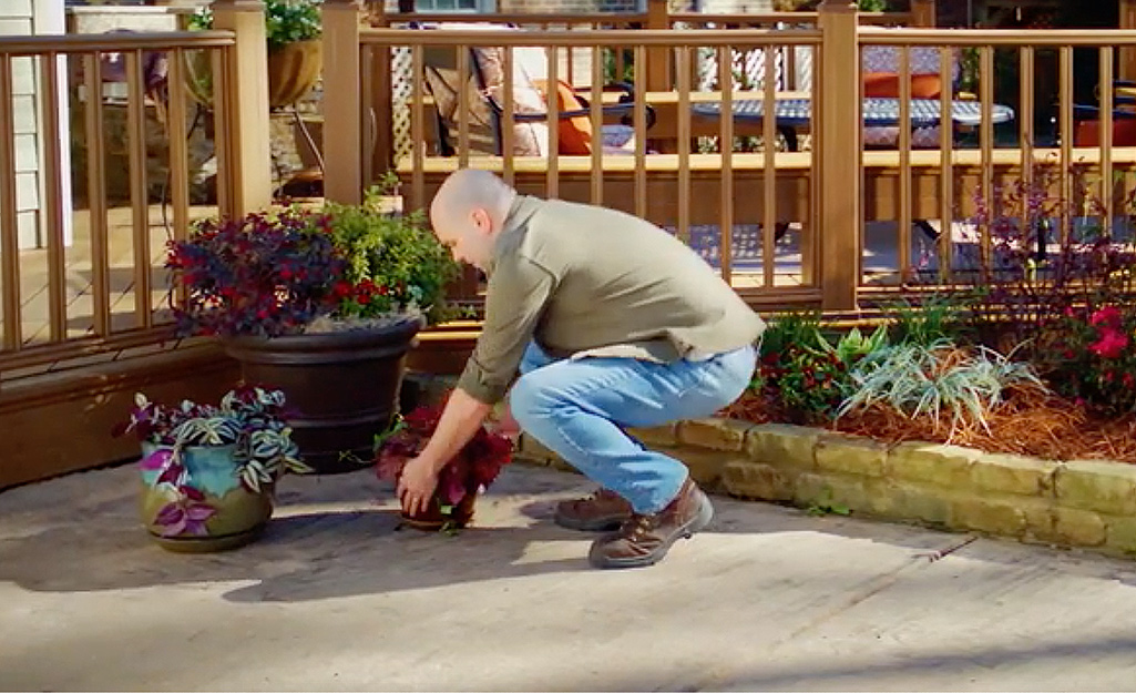 A man removes plants from his patio area. A man removes plants from his patio area.