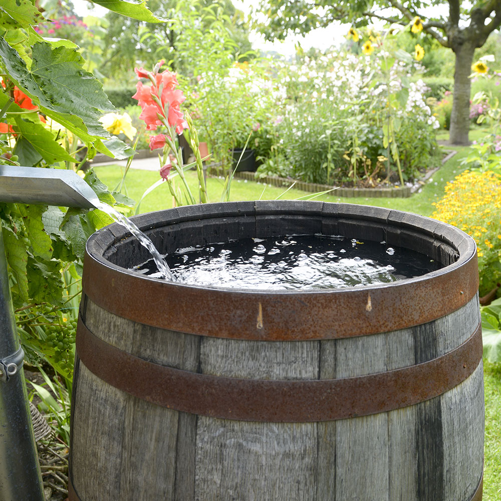 How To Use A Rain Barrel, How To Water Your Garden With Rainwater