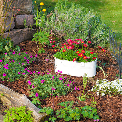 How to Use Mulch in the Garden