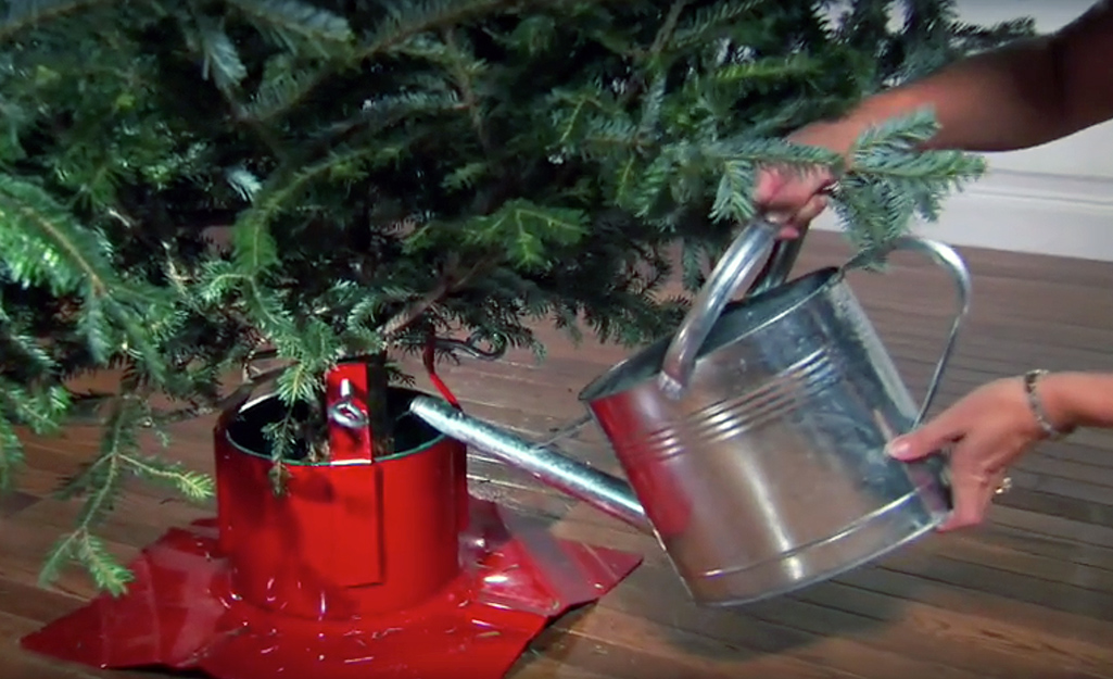A Christmas tree stand showing the base of a Christmas tree.