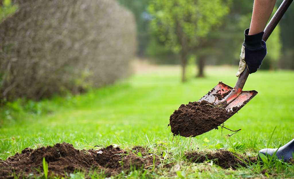 A person uses a shovel to dig a small hole to take a soil sample.