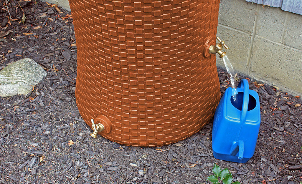 Water from the spigot of a textured rainwater barrel flows into a blue watering can.