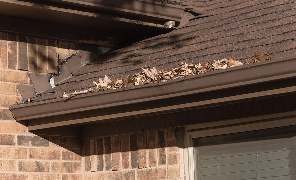 Leaves lining the edge of a roof.