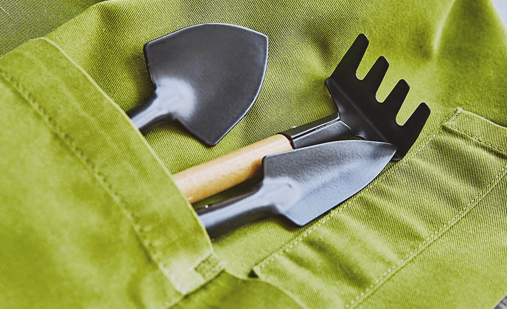 Garden tools in the pocket of a green apron.