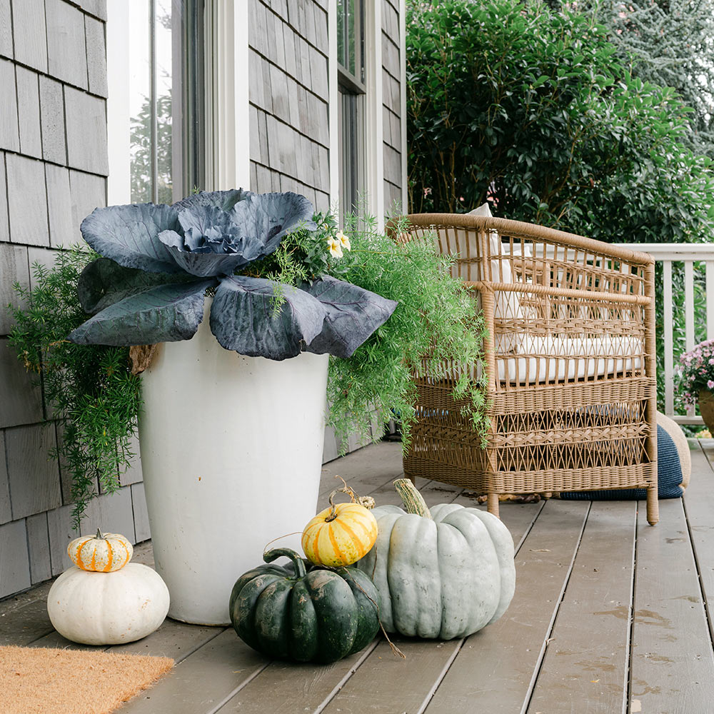 White, green and orange pumpkins sit in front of planter and a wicker chair on a porch.