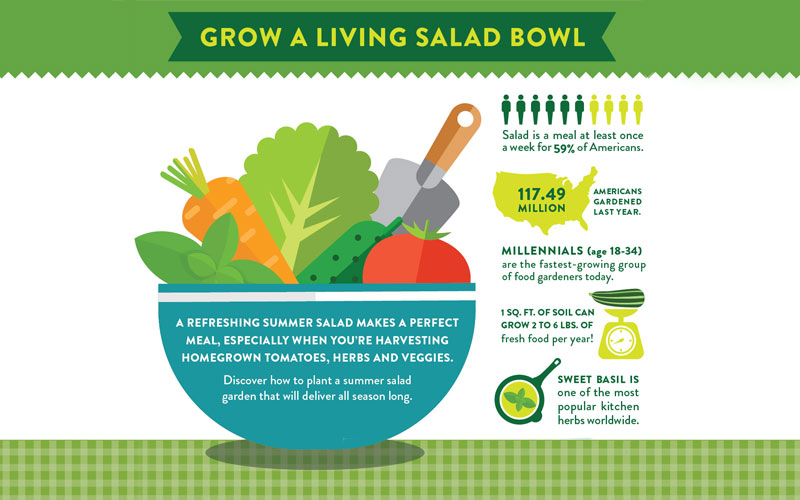 A Refreshing Summer Salad