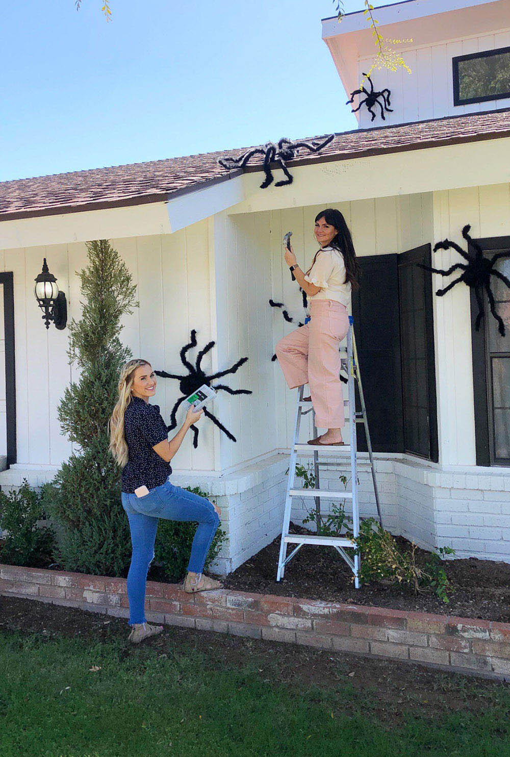 Two women decorating the front of a home for Halloween with large black spiders.