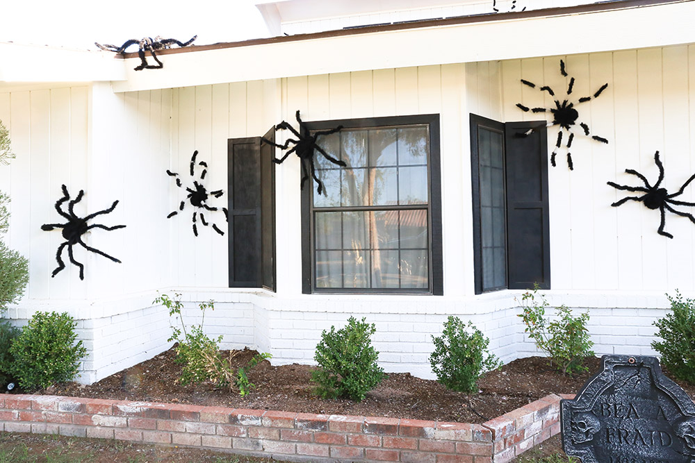 A group of large spiders decorates the side of a white home with black shutters.