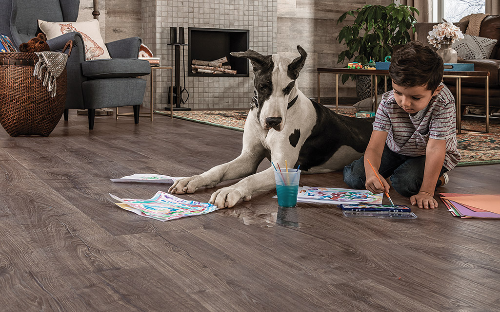 A boy and his dog playing on a laminate floor in the living room.