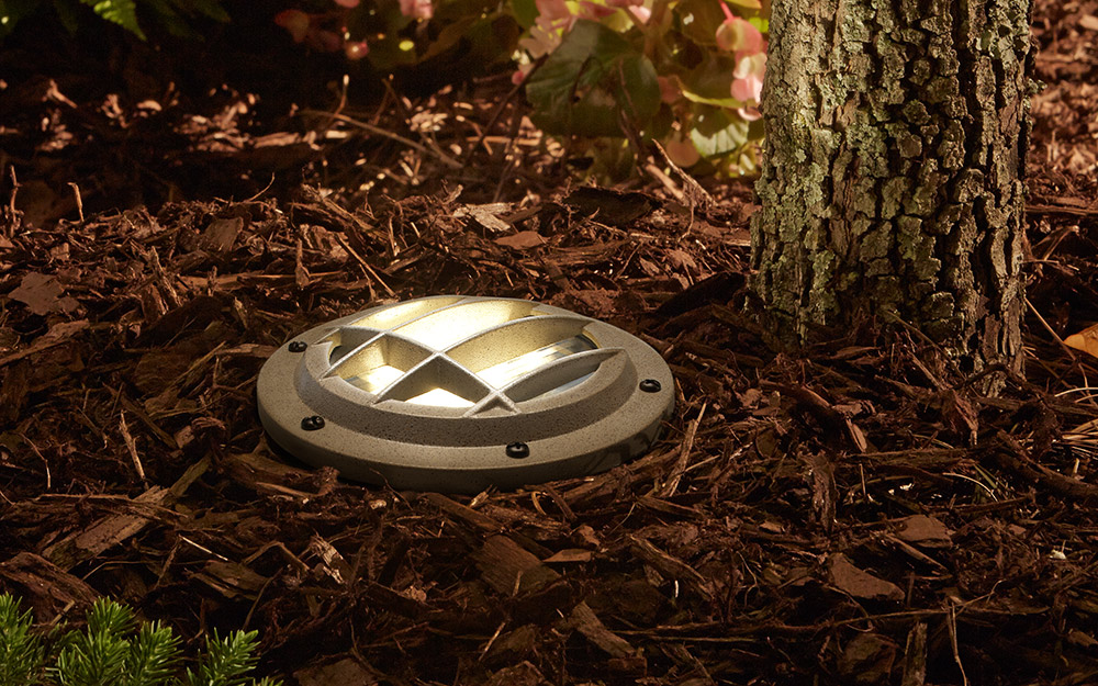 A landscape well light illuminating a mulch garden bed.