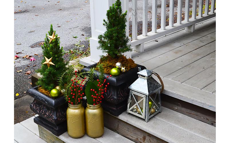 Trees in Planters