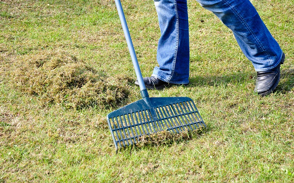 too much grass clippings on lawn