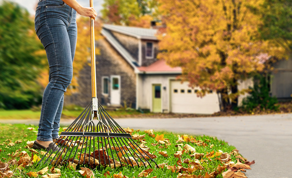  A person cleans up autumn leaves with a green rake.