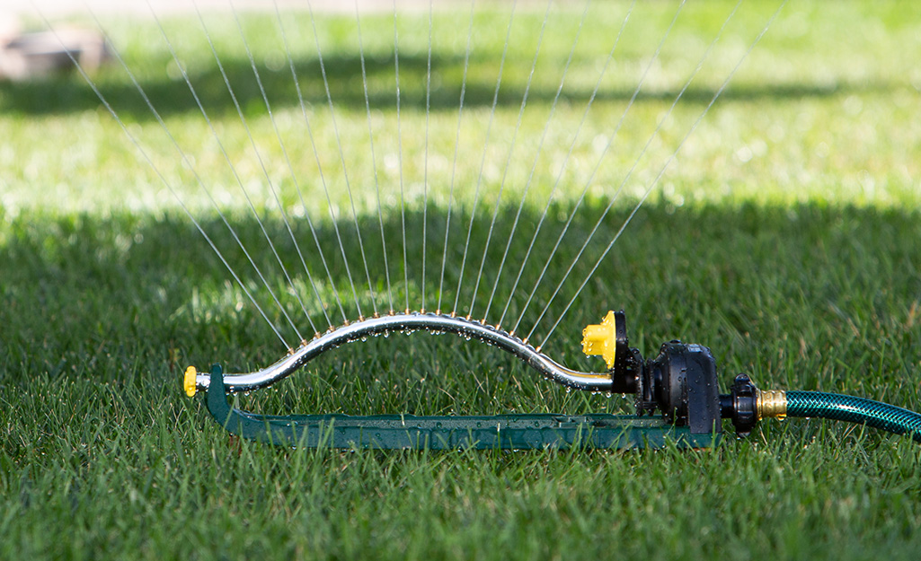 Water shoots from an oscillating sprinkler on a lawn.