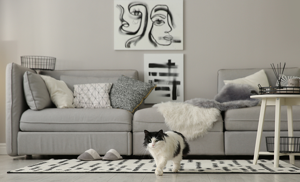 A gray and white living room.