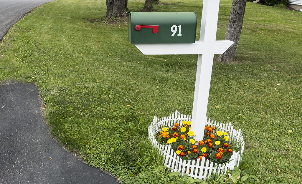 Colorful annuals in a mailbox garden