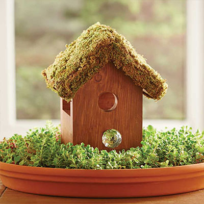 How to Make a Birdhouse Centerpiece in a Nest of Succulents