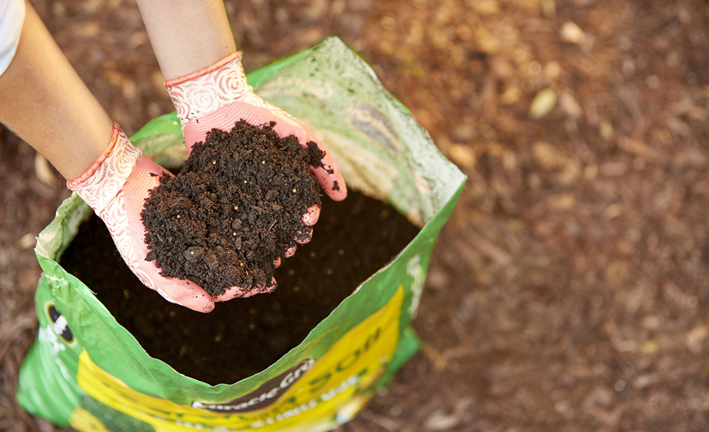Hands holding potting soil from a bag