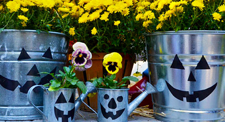 Four galavnized buckets with flowers planted inside.