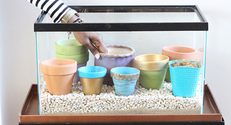 Set Up Flowerpots