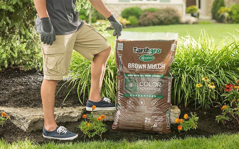 Protect Your Plants with Mulch Protect Your Plants with Mulch
