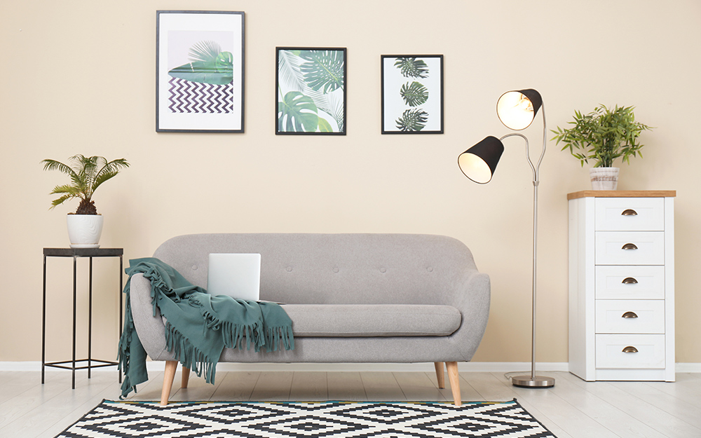 Leafy framed prints and a black and white ikat rug liven up a minimalist living room with a gray sofa.