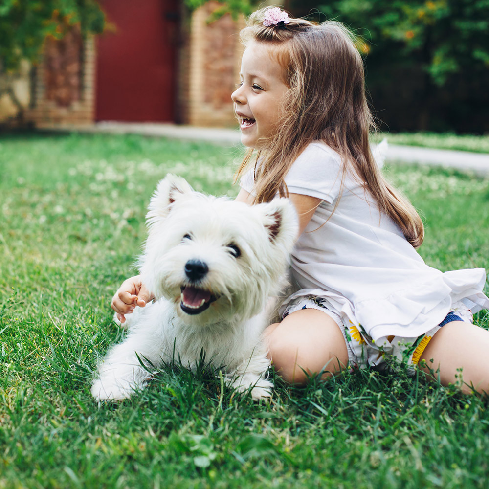 Girl playing with a dog on an organic lawn.