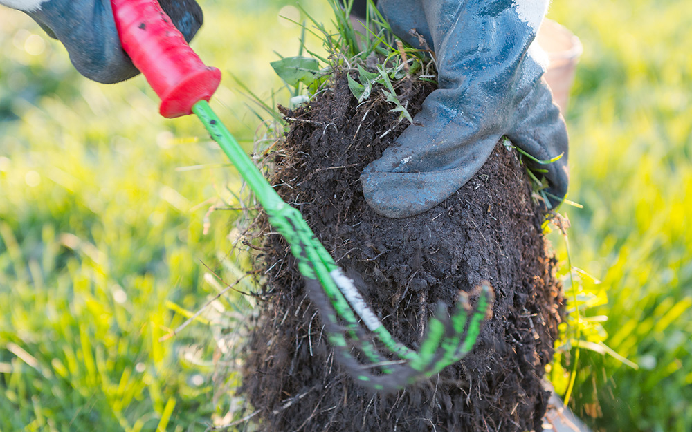 Person pulling up weeds with a garden tool.