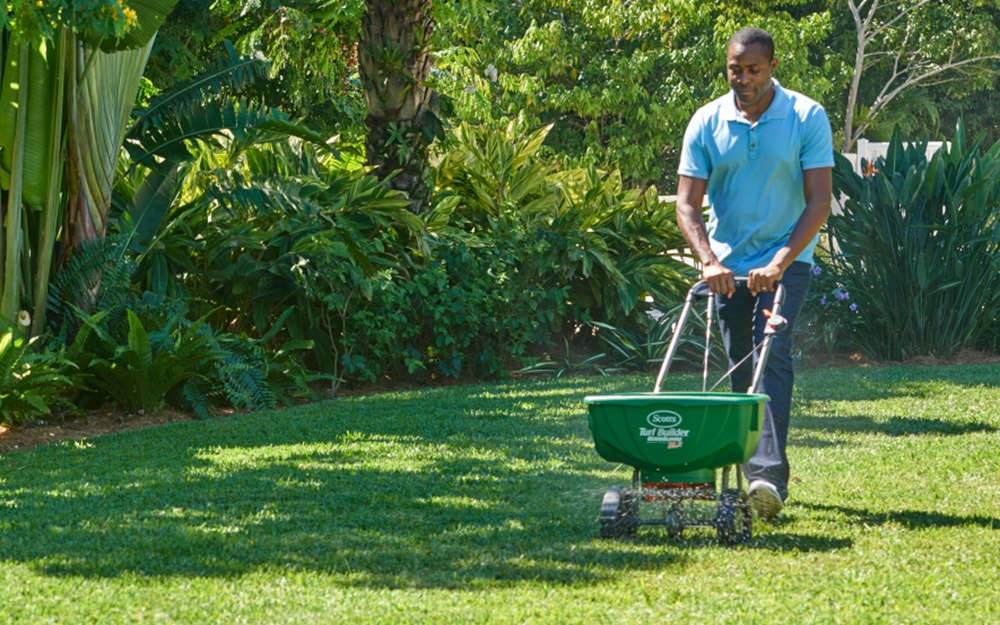 Man fertilizing a lawn.