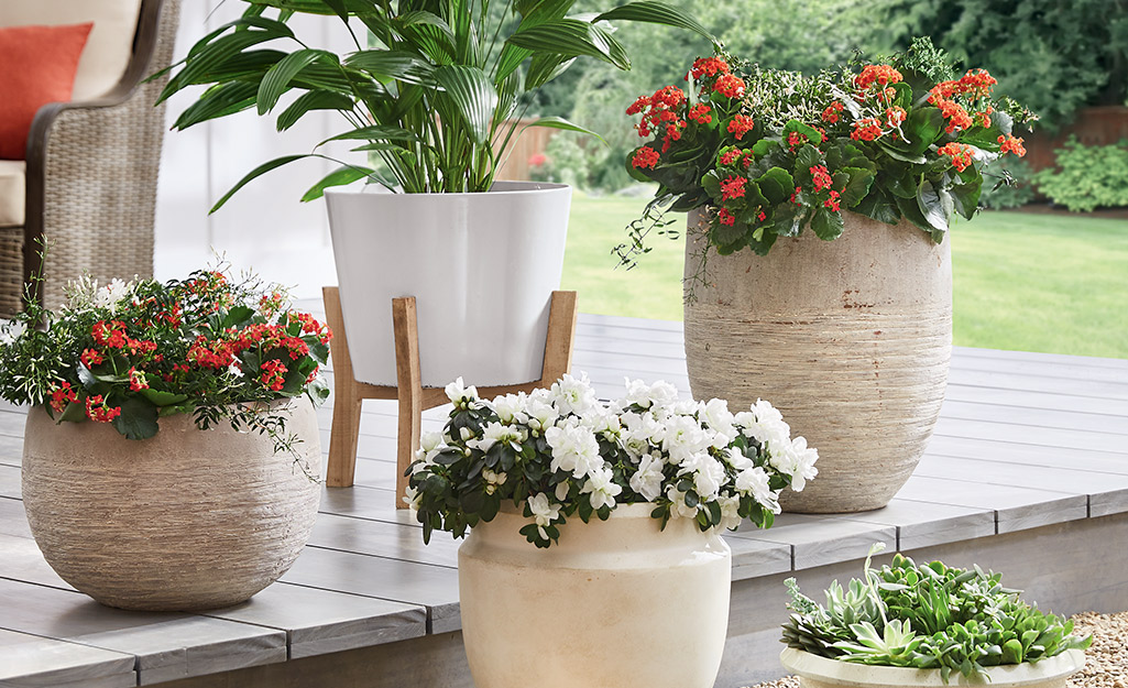 A collection of planters with flowers on a deck.