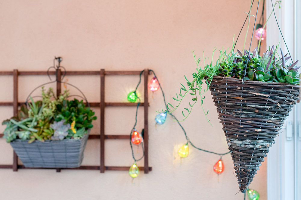 A patio with hanging greenery and string lights.