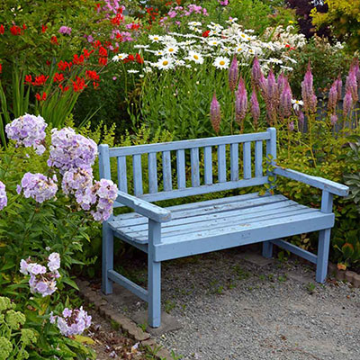 Accent Landscaping for a Personalized Garden