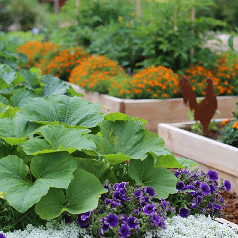 Plan the Year with The Home Depot Garden Club Calendar