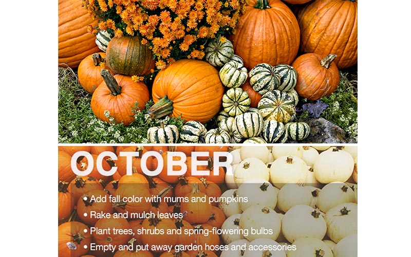 October