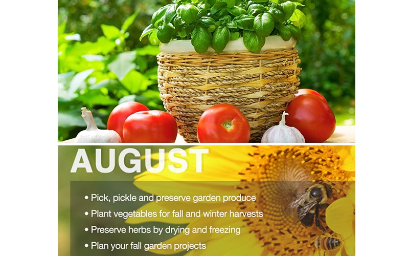 Plant These Vegetables in Your Fall Garden - The Home Depot