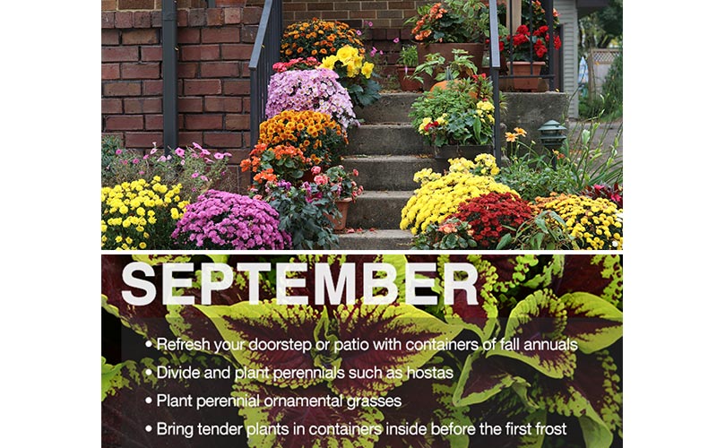 https://contentgrid.homedepot-static.com/hdus/en_US/DTCCOMNEW/Articles/plan-the-year-with-the-home-depot-garden-club-calendar-section-9.jpg