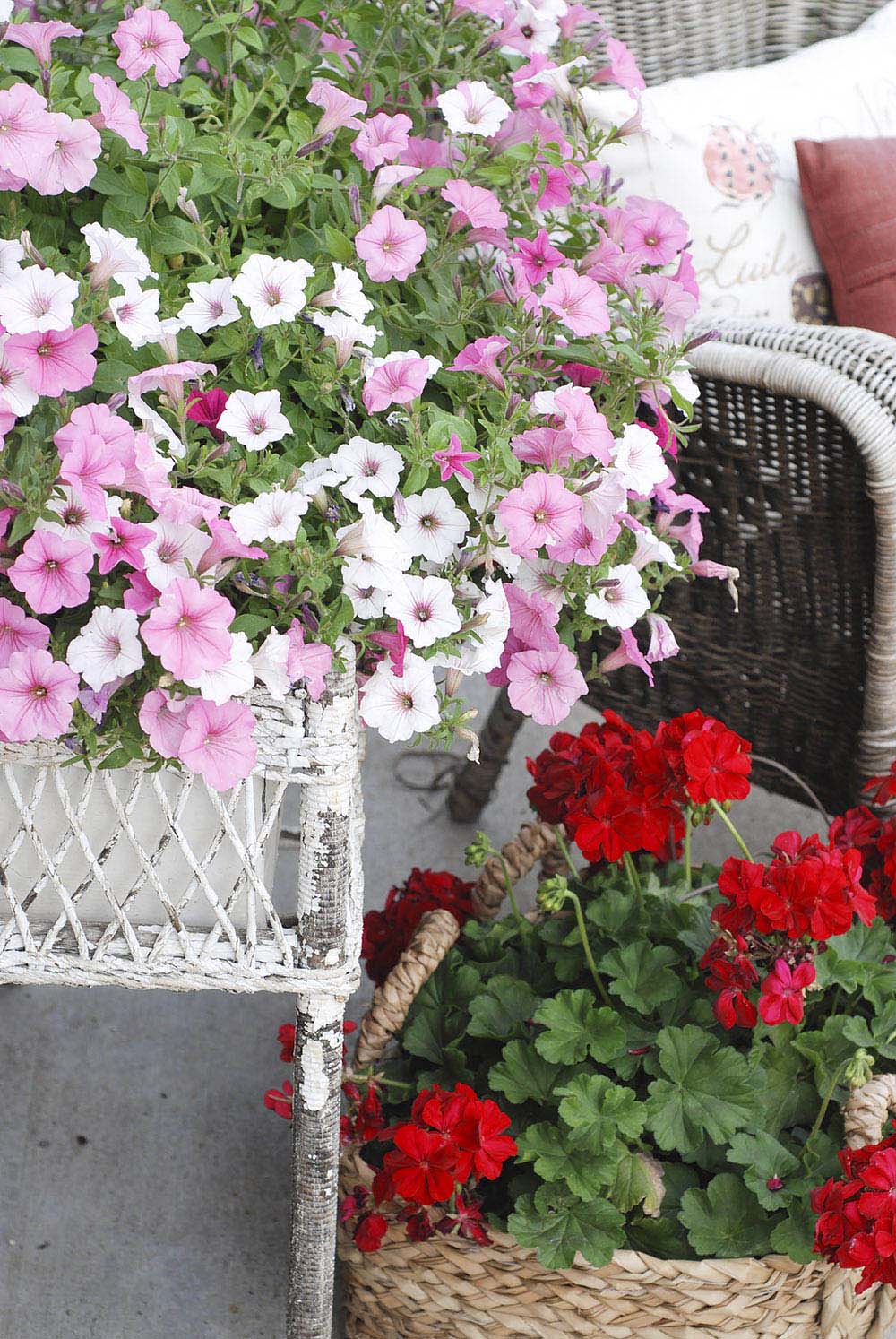 Planting Flowers to Add Color to Patio Decor Planting Flowers to Add Color to Patio Decor