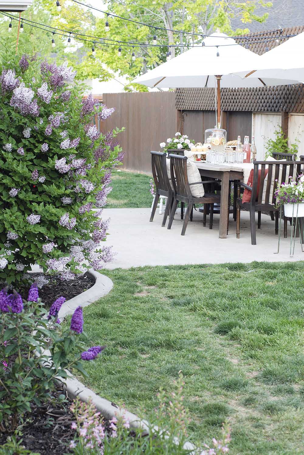 Planting Flowers to Add Color to Patio Decor Planting Flowers to Add Color to Patio Decor