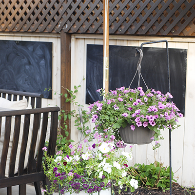 Planting Flowers to Add Color to Patio Decor