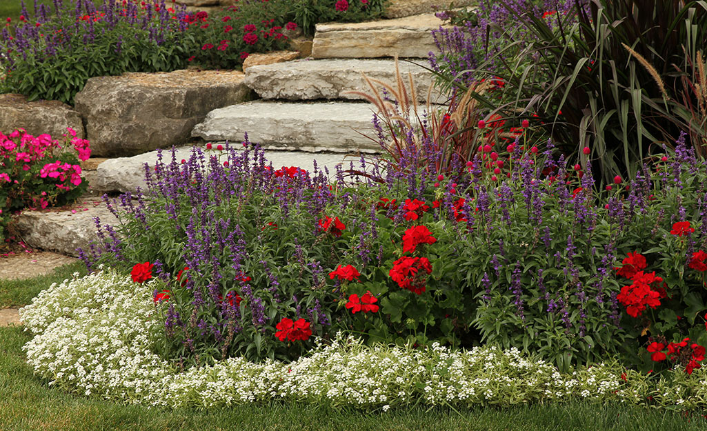 Plant Colorful Annuals for Easy Summer Blooms - The Home Depot
