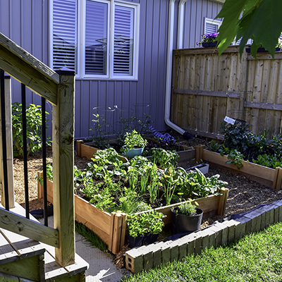 Prep Your Garden for Edibles