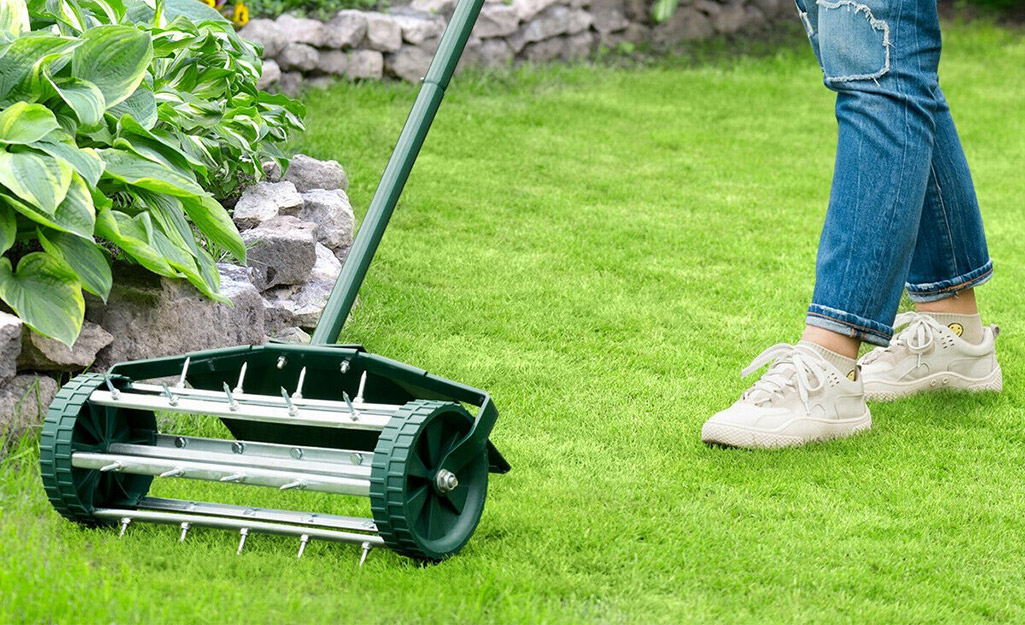 Gardener pushing aerator on lawn