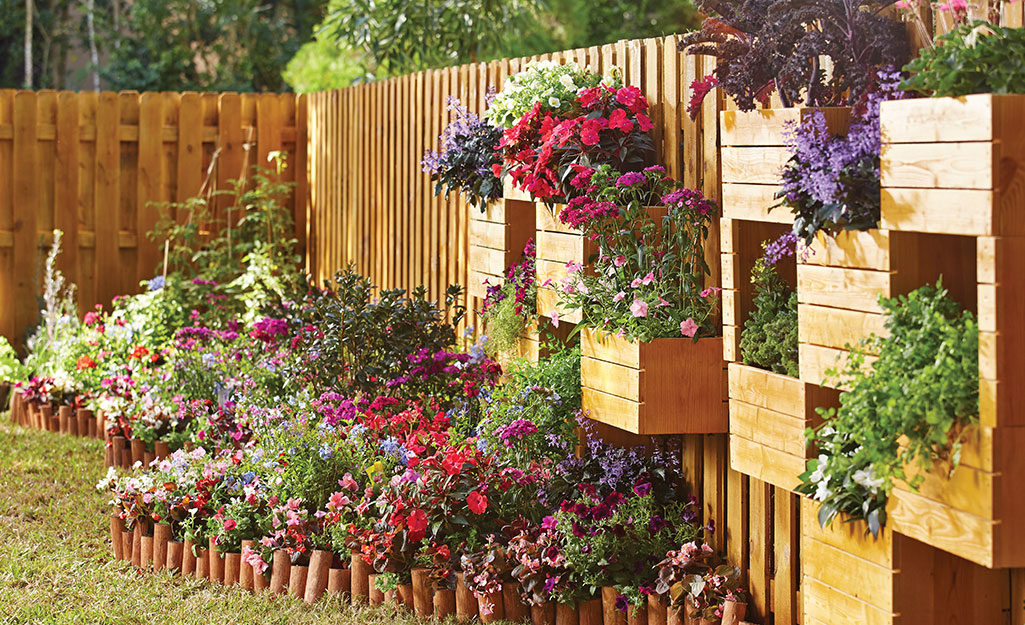 A wooden fence features a vertical garden.